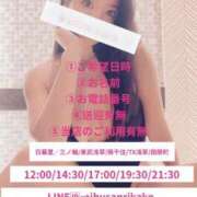 ヒメ日記 2024/12/23 14:47 投稿 伊吹りかこ ライオンズクラブ