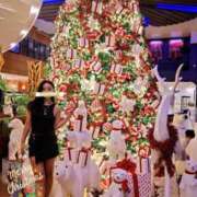 ヒメ日記 2025/12/08 11:01 投稿 伊吹りかこ ライオンズクラブ