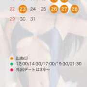 ヒメ日記 2026/03/17 15:01 投稿 伊吹りかこ ライオンズクラブ