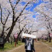 ヒメ日記 2026/04/18 13:14 投稿 伊吹りかこ ライオンズクラブ