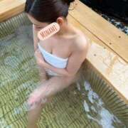 ヒメ日記 2026/02/15 10:56 投稿 滝川 みなみ ライオンズクラブ