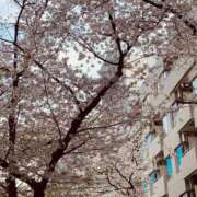 ヒメ日記 2025/04/05 21:18 投稿 桜咲ゆきの 五反田発 痴漢電車or全裸入室