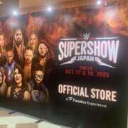 ヒメ日記 2025/11/01 00:18 投稿 桜咲ゆきの 五反田発 痴漢電車or全裸入室