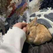 ヒメ日記 2025/11/03 23:05 投稿 桜咲ゆきの 五反田発 痴漢電車or全裸入室