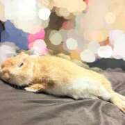 ヒメ日記 2026/02/05 23:32 投稿 桜咲ゆきの 五反田発 痴漢電車or全裸入室