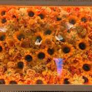 ヒメ日記 2026/02/09 22:39 投稿 桜咲ゆきの 五反田発 痴漢電車or全裸入室