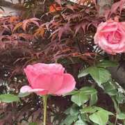 ヒメ日記 2025/05/08 20:42 投稿 ゆきの 池袋で熟女の風俗 マダムいやーん