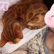 ヒメ日記 2025/05/11 11:34 投稿 ゆきの 池袋で熟女の風俗 マダムいやーん