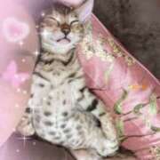 ヒメ日記 2025/06/02 15:29 投稿 ゆきの 池袋で熟女の風俗 マダムいやーん