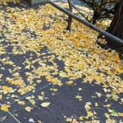 ヒメ日記 2025/11/28 10:30 投稿 ゆきの 池袋で熟女の風俗 マダムいやーん