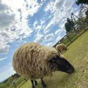 ヒメ日記 2026/04/24 16:25 投稿 かな 奥鉄オクテツ東京店（デリヘル市場）