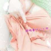 ヒメ日記 2025/07/26 08:27 投稿 けいこ 激情団地妻