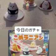 ヒメ日記 2026/01/10 16:53 投稿 あお クラブKG