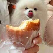 ヒメ日記 2026/02/12 16:53 投稿 あお クラブKG