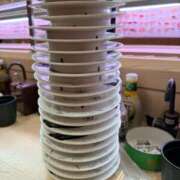 ヒメ日記 2026/03/02 04:43 投稿 あお クラブKG