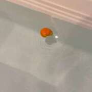 ヒメ日記 2026/03/12 07:33 投稿 あお クラブKG