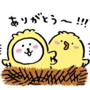 ヒメ日記 2025/04/29 18:55 投稿 いおり 手こき＆オナクラ 大阪はまちゃん