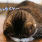 ヒメ日記 2026/03/24 09:10 投稿 いおり 手コキ＆オナクラ 大阪はまちゃん 梅田店