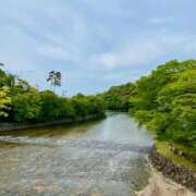 ヒメ日記 2025/05/16 00:50 投稿 ルイ 黄金の口 本店