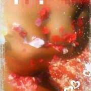 ヒメ日記 2025/06/12 10:18 投稿 ルイ 黄金の口 本店