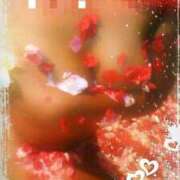 ヒメ日記 2025/12/12 10:37 投稿 ルイ 黄金の口 本店