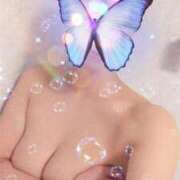 ヒメ日記 2026/03/13 01:55 投稿 ルイ 黄金の口 本店