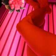 ヒメ日記 2025/12/23 19:05 投稿 さわこ 奥鉄オクテツ東京店（デリヘル市場）