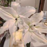 ヒメ日記 2025/02/18 21:28 投稿 ナナセ 黄金の口 本店