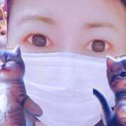 ヒメ日記 2025/02/26 14:03 投稿 ナナセ 黄金の口 本店