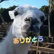 ヒメ日記 2025/02/28 20:28 投稿 ナナセ 黄金の口 本店