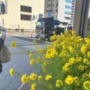 ヒメ日記 2025/03/12 16:55 投稿 ナナセ 黄金の口 本店