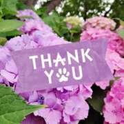 ヒメ日記 2025/03/20 23:31 投稿 ナナセ 黄金の口 本店