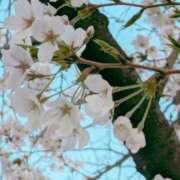 ヒメ日記 2025/03/24 14:35 投稿 ナナセ 黄金の口 本店