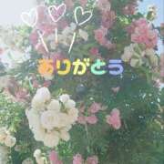 ヒメ日記 2025/03/27 21:53 投稿 ナナセ 黄金の口 本店