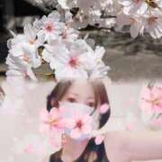 ヒメ日記 2025/04/03 00:15 投稿 ナナセ 黄金の口 本店