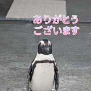 ヒメ日記 2025/04/14 22:59 投稿 ナナセ 黄金の口 本店