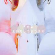 ヒメ日記 2025/04/25 09:45 投稿 ナナセ 黄金の口 本店