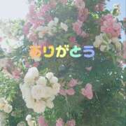 ヒメ日記 2025/04/30 14:31 投稿 ナナセ 黄金の口 本店