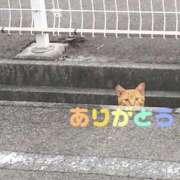 ヒメ日記 2025/05/24 14:45 投稿 ナナセ 黄金の口 本店