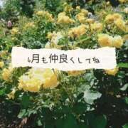 ヒメ日記 2025/06/01 20:39 投稿 ナナセ 黄金の口 本店