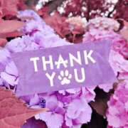 ヒメ日記 2025/06/07 21:20 投稿 ナナセ 黄金の口 本店