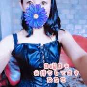 ヒメ日記 2025/06/22 07:58 投稿 ナナセ 黄金の口 本店