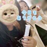 ヒメ日記 2025/07/08 00:17 投稿 ナナセ 黄金の口 本店