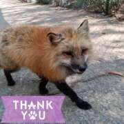 ヒメ日記 2025/07/10 15:46 投稿 ナナセ 黄金の口 本店