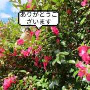 ヒメ日記 2025/07/13 16:18 投稿 ナナセ 黄金の口 本店