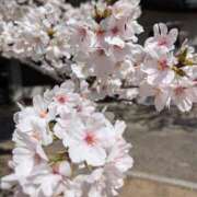 ヒメ日記 2025/07/14 11:33 投稿 ナナセ 黄金の口 本店