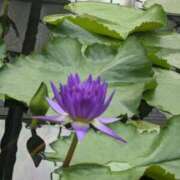 ヒメ日記 2025/07/19 12:08 投稿 ナナセ 黄金の口 本店