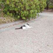 ヒメ日記 2025/07/22 19:10 投稿 ナナセ 黄金の口 本店