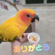 ヒメ日記 2025/08/07 20:27 投稿 ナナセ 黄金の口 本店