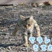 ヒメ日記 2025/11/08 17:07 投稿 ナナセ 黄金の口 本店